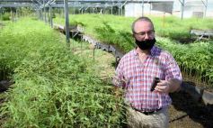 Foto de la galería: La Biofábrica por dentro