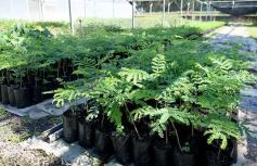 Foto de la galería: La Biofábrica por dentro