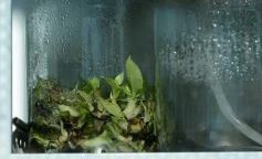 Foto de la galería: La Biofábrica por dentro