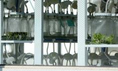 Foto de la galería: La Biofábrica por dentro