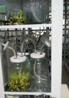 Foto de la galería: La Biofábrica por dentro