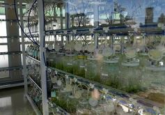 Foto de la galería: La Biofábrica por dentro