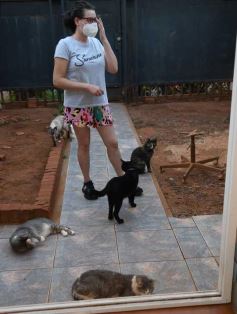 Foto de la galería: Rescate animal en Posadas