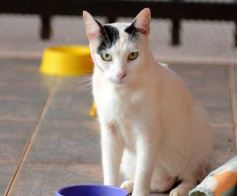 Foto de la galería: Rescate animal en Posadas