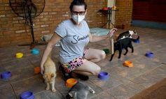 Foto de la galería: Rescate animal en Posadas