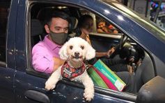 Foto de la galería: Una nueva vuelta por Posadas