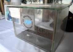 Foto de la galería: Malvinas, ningún suelo más querido