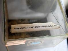 Foto de la galería: Malvinas, ningún suelo más querido