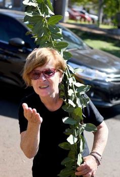 Foto de la galería: Un mix de Posadas y Garupá