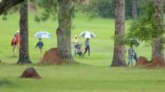 Foto de la galería: Copa El Territorio de Golf, un clásico del Tacurú