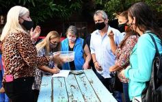 Foto de la galería: Por la salud de nuestros adultos mayores