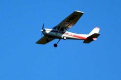 Foto de la galería: Registro de marcas del atletismo misionero en el CePARD