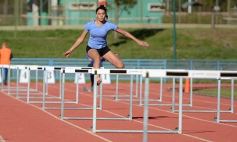 Foto de la galería: Registro de marcas del atletismo misionero en el CePARD