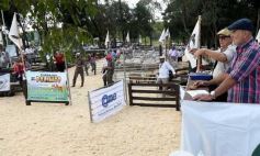 Foto de la galería: Campo, remate y encuentro en La Armonía