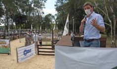 Foto de la galería: Campo, remate y encuentro en La Armonía