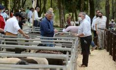 Foto de la galería: Campo, remate y encuentro en La Armonía