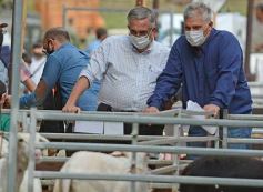 Foto de la galería: Campo, remate y encuentro en La Armonía