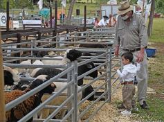 Foto de la galería: Campo, remate y encuentro en La Armonía