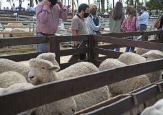 Foto de la galería: Campo, remate y encuentro en La Armonía