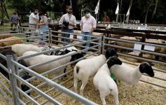 Foto de la galería: Campo, remate y encuentro en La Armonía