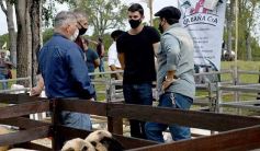 Foto de la galería: Campo, remate y encuentro en La Armonía