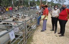 Foto de la galería: Campo, remate y encuentro en La Armonía
