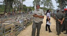 Foto de la galería: Campo, remate y encuentro en La Armonía