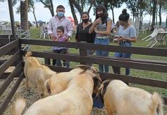 Foto de la galería: Campo, remate y encuentro en La Armonía