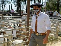 Foto de la galería: Campo, remate y encuentro en La Armonía