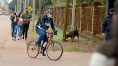 Foto de la galería: Caravana de fe por la Virgen de Fátima