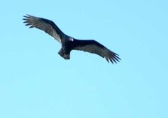 Foto de la galería: Escapada a Puerto Iguazú