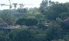 Foto de la galería: Escapada a Puerto Iguazú