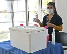 Foto de la galería: Inició la campaña de vacunación a empleados de comercio y afines en Misiones