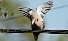 Foto de la galería: Recorridas, encuentros y amigos en la ciudad capital