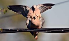 Foto de la galería: Recorridas, encuentros y amigos en la ciudad capital