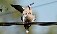 Foto de la galería: Recorridas, encuentros y amigos en la ciudad capital