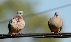 Foto de la galería: Recorridas, encuentros y amigos en la ciudad capital