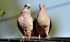 Foto de la galería: Recorridas, encuentros y amigos en la ciudad capital