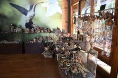 Foto de la galería: Saltos del Moconá, invitación a una experiencia sin igual