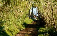 Foto de la galería: Paseo, encuentro y descanso, desde El Soberbio hasta Moconá