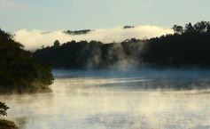 Foto de la galería: Paseo, encuentro y descanso, desde El Soberbio hasta Moconá