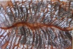 Foto de la galería: "Colorín Otaño", sinónimo de arte y cultura en la ciudad de Posadas