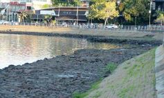Foto de la galería: Deporte, encuentro y río, en el nuevo circuito costero de la EBY