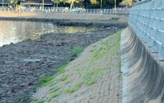 Foto de la galería: Deporte, encuentro y río, en el nuevo circuito costero de la EBY