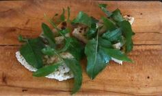 Foto de la galería: Poytava, gastronomía sustentable y bien misionera