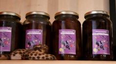 Foto de la galería: Poytava, gastronomía sustentable y bien misionera