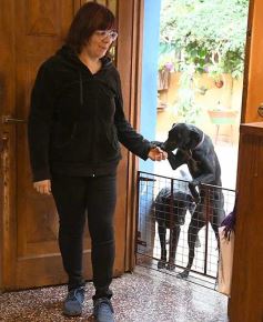 Foto de la galería: Trabajo, recorridas y amigos en la activa ciudad de Posadas