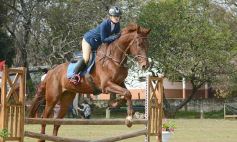 Foto de la galería: Torneo de equitación en el campo hípico del Ejército Argentino en Posadas