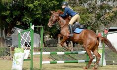 Foto de la galería: Torneo de equitación en el campo hípico del Ejército Argentino en Posadas