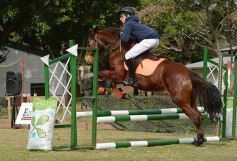 Foto de la galería: Torneo de equitación en el campo hípico del Ejército Argentino en Posadas